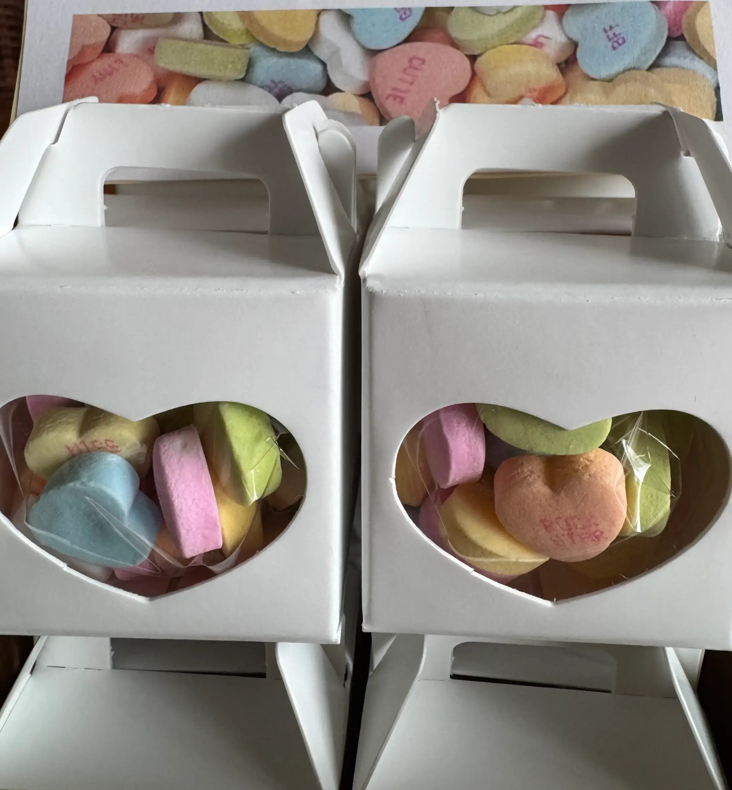 Gift Box for Wedding Favours